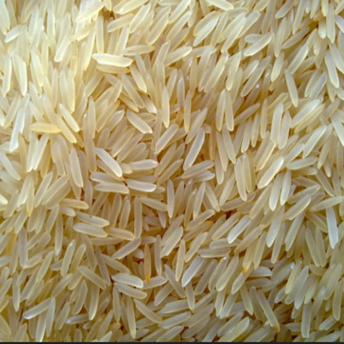 1121 Basmati Rice