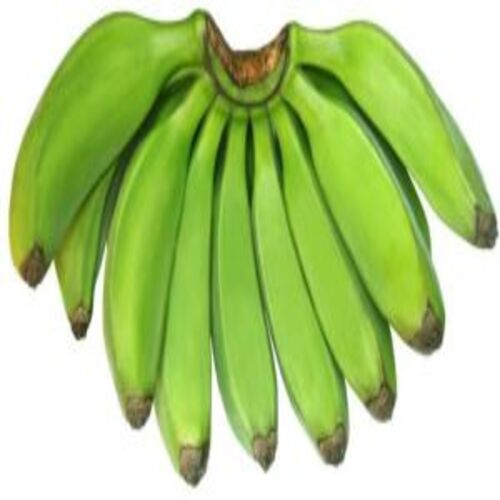 Fresh Raw Banana